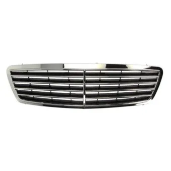 Grille de radiateur BLIC 6502-07-3515991P