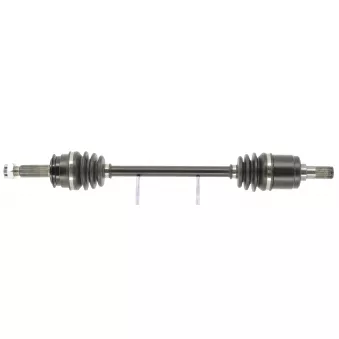 Arbre de transmission CEVAM 50251