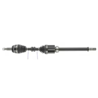 Arbre de transmission CEVAM