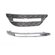 Grille de ventilation, pare-chocs BLIC 6502-07-3518917P - Visuel 1