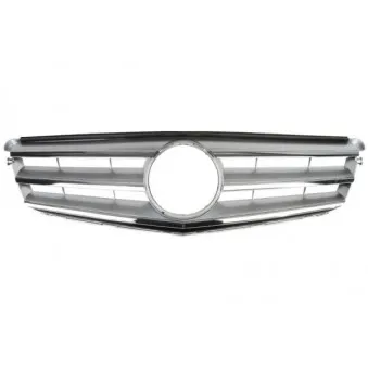 Grille de radiateur BLIC 6502-07-3518990P