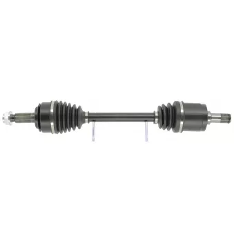 Arbre de transmission CEVAM