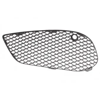 Grille de ventilation, pare-chocs avant gauche BLIC 6502-07-3521913P