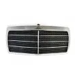Grille de radiateur BLIC 6502-07-3526995P - Visuel 1