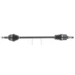 Arbre de transmission CEVAM 50439 - Visuel 1