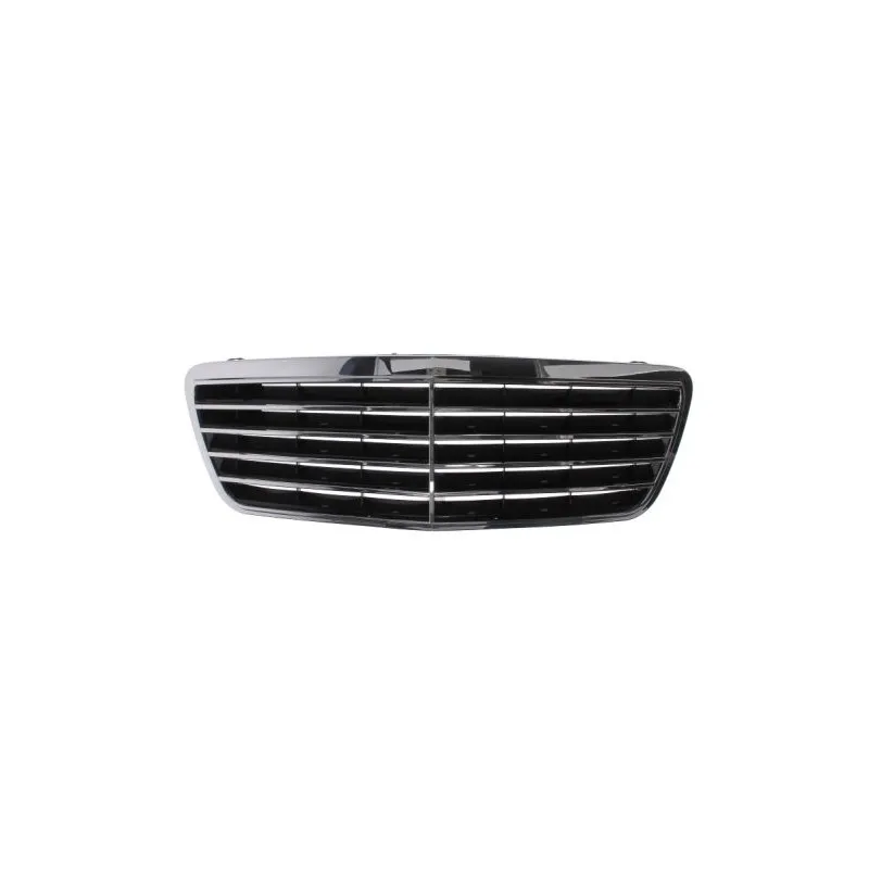Grille de radiateur BLIC 6502-07-3527994P