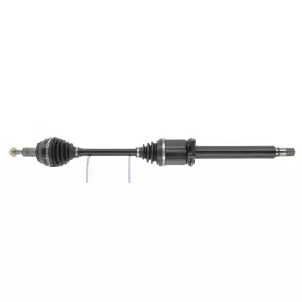 Arbre de transmission CEVAM