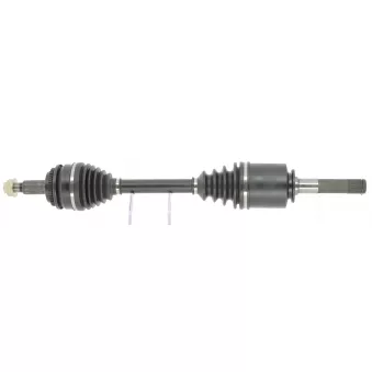 Arbre de transmission CEVAM