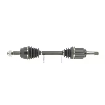 Arbre de transmission CEVAM 50551