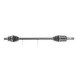 Arbre de transmission CEVAM 50589 - Visuel 1