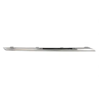 Baguette et bande protectrice, grille de radiateur BLIC