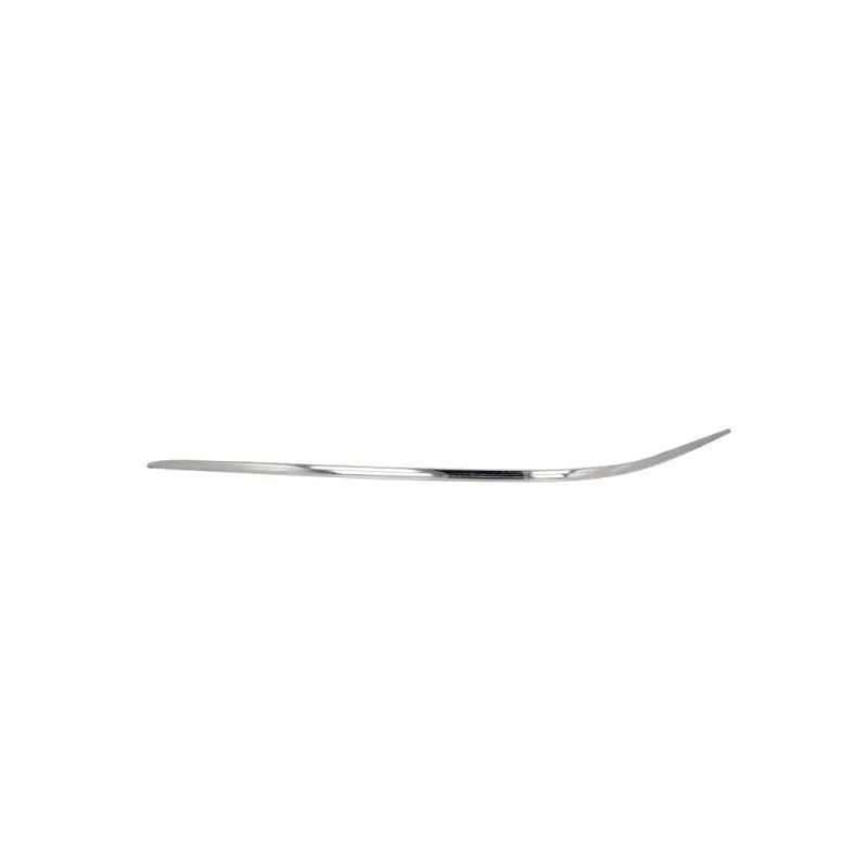 Baguette et bande protectrice, pare-chocs avant gauche BLIC 6502-07-3530921P