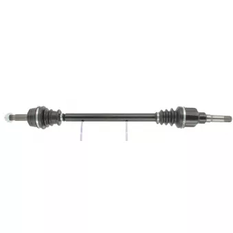 Arbre de transmission CEVAM 50696