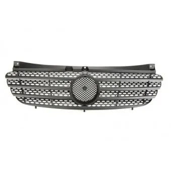 Grille de radiateur BLIC 6502-07-3542990P