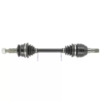 Arbre de transmission CEVAM 50767