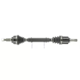 Arbre de transmission CEVAM