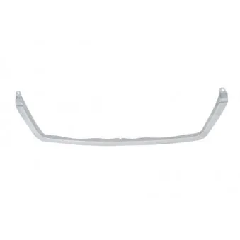 Baguette et bande protectrice, grille de radiateur BLIC 6502-07-3546991P
