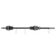 Arbre de transmission CEVAM 50812 - Visuel 1