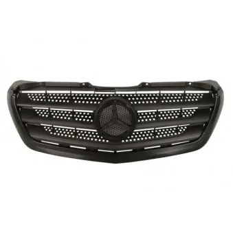 Grille de radiateur BLIC 6502-07-3547993P