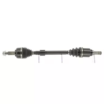 Arbre de transmission CEVAM 50853