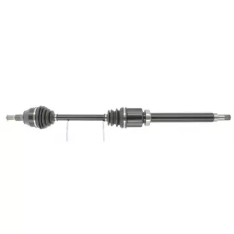 Arbre de transmission CEVAM 50924