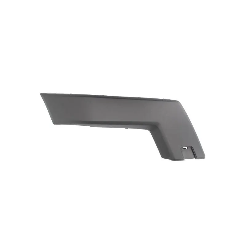 Baguette et bande protectrice, pare-chocs avant droit BLIC 6502-07-3580922P