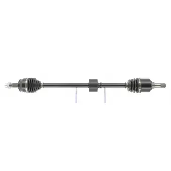 Arbre de transmission CEVAM 50972