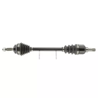 Arbre de transmission CEVAM