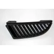 Grille de radiateur BLIC 6502-07-3711991P - Visuel 1
