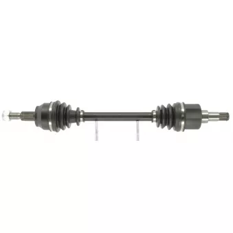 Arbre de transmission CEVAM