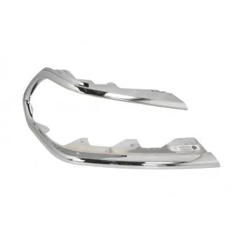 Cadre, projecteur principal BLIC 6502-07-3729998P