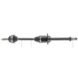 Arbre de transmission CEVAM 51242Z - Visuel 1