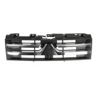 Grille de radiateur BLIC 6502-07-3733990P