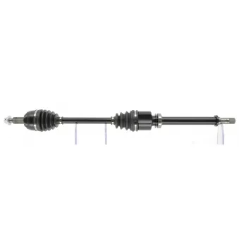 Arbre de transmission CEVAM