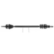 Arbre de transmission CEVAM 51309 - Visuel 1