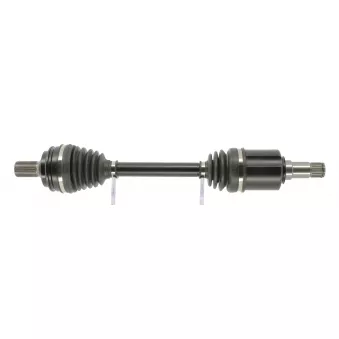 Arbre de transmission CEVAM 51362