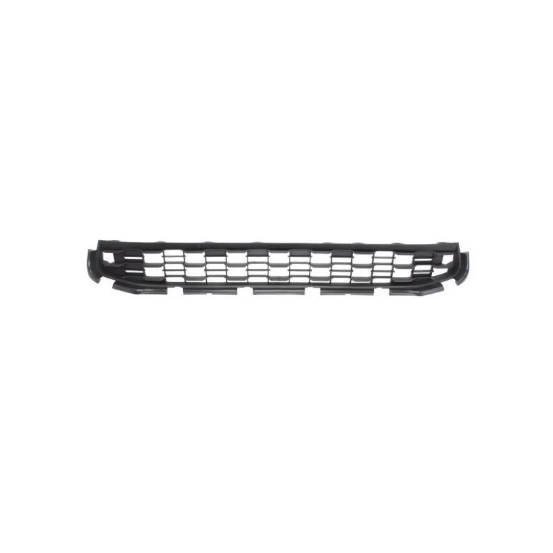 Grille de radiateur BLIC 6502-07-3751993Q