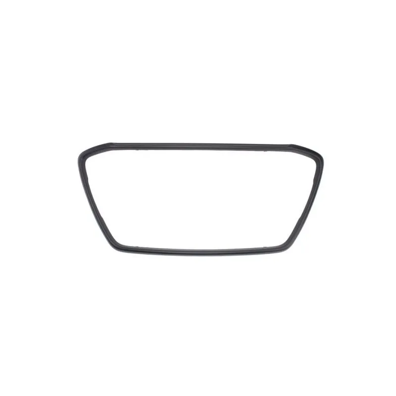 Cadre, grille de radiateur BLIC 6502-07-3751995Q