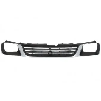 Grille de radiateur BLIC