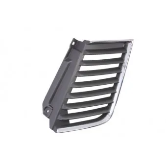 Grille de radiateur BLIC 6502-07-3783991P