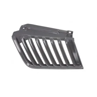 Grille de radiateur BLIC 6502-07-3783993P