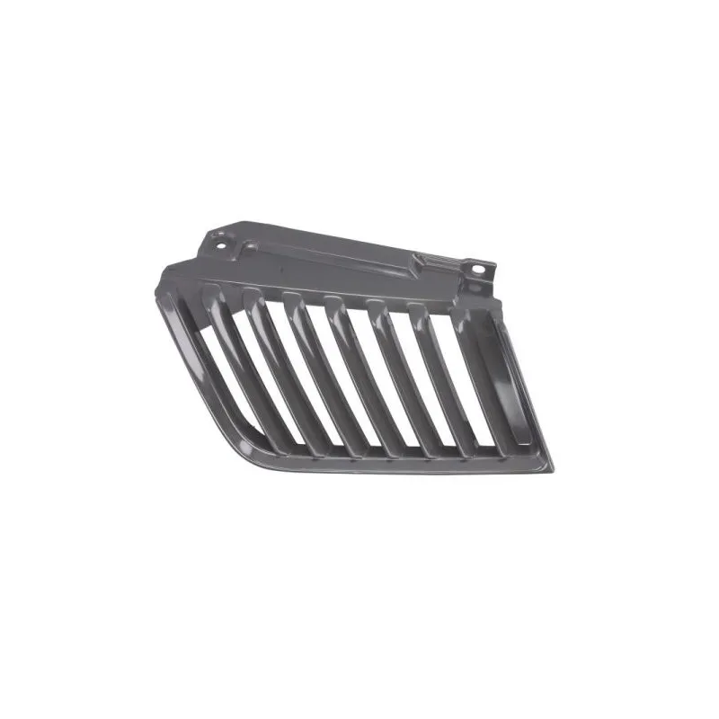 Grille de radiateur BLIC 6502-07-3783993P