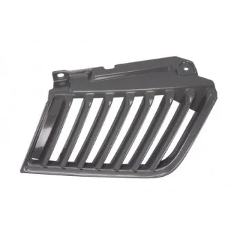 Grille de radiateur BLIC 6502-07-3783994P