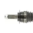 Arbre de transmission CEVAM 51513 - Visuel 2