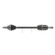 Arbre de transmission CEVAM 51531 - Visuel 1