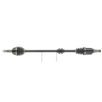 Arbre de transmission CEVAM