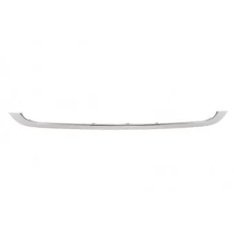 Baguette et bande protectrice, grille de radiateur BLIC 6502-07-4001994P
