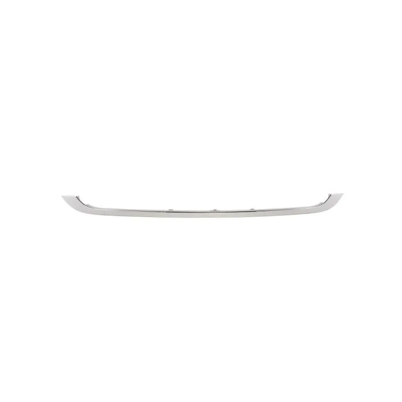 Baguette et bande protectrice, grille de radiateur BLIC 6502-07-4001994P