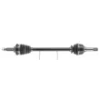Arbre de transmission CEVAM 51568Z - Visuel 1
