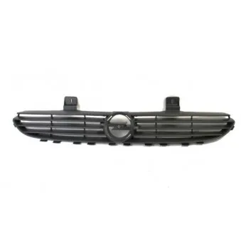 Grille de radiateur BLIC 6502-07-5022993P